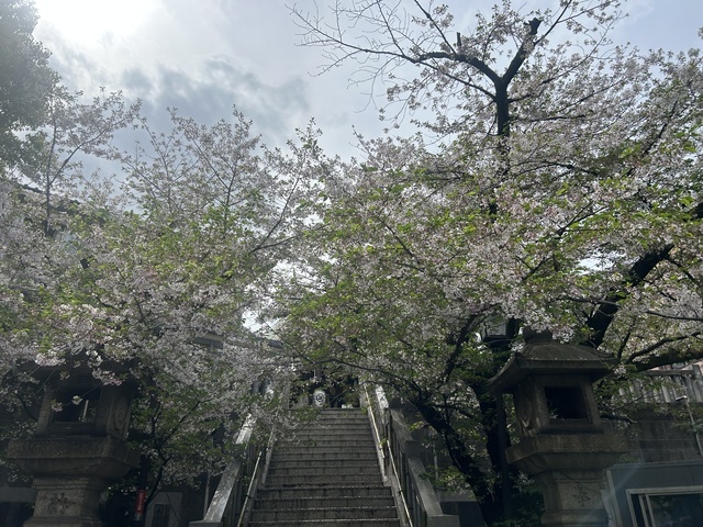 ありがとっ🩷｜写メ日記｜松岡｜鶯谷 人妻デリヘル あなたに逢いたくて