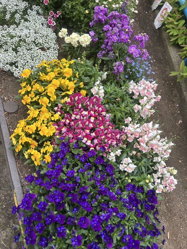 お礼🩷｜写メ日記｜松岡｜鶯谷 人妻デリヘル あなたに逢いたくて