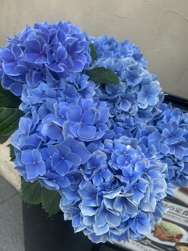 ありがとう♡｜写メ日記｜松岡｜鶯谷 人妻デリヘル あなたに逢いたくて
