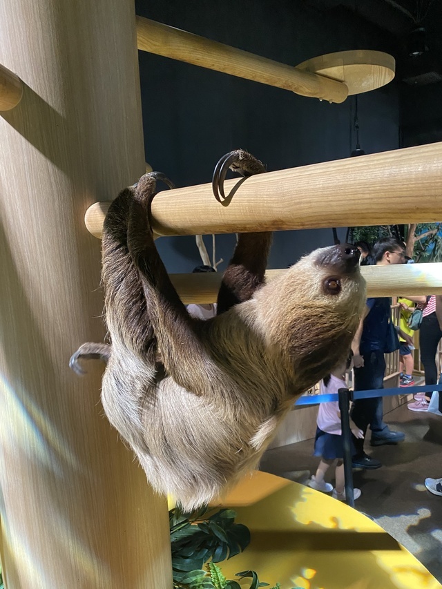 退勤｜写メ日記｜牧瀬｜鶯谷 人妻デリヘル あなたに逢いたくて