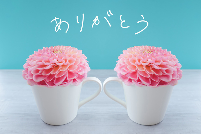 2日のお礼💌｜写メ日記｜坂下｜鶯谷 人妻デリヘル あなたに逢いたくて