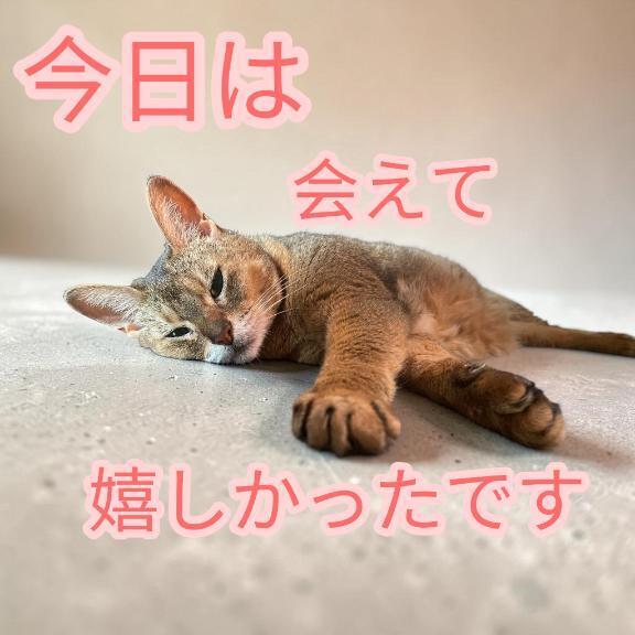 ピードアで遊んだＭさん
