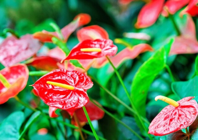 11/13のお礼♡｜写メ日記｜永井｜鶯谷 人妻デリヘル あなたに逢いたくて