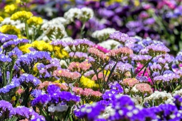 11/17のお礼♡｜写メ日記｜永井｜鶯谷 人妻デリヘル あなたに逢いたくて