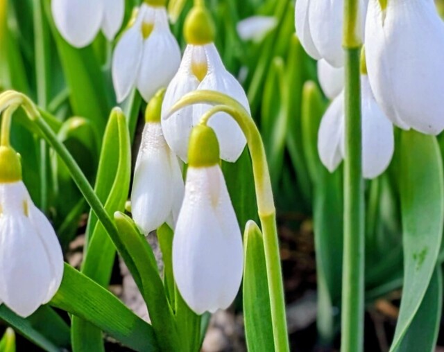 1/7のお礼♡｜写メ日記｜永井｜鶯谷 人妻デリヘル あなたに逢いたくて