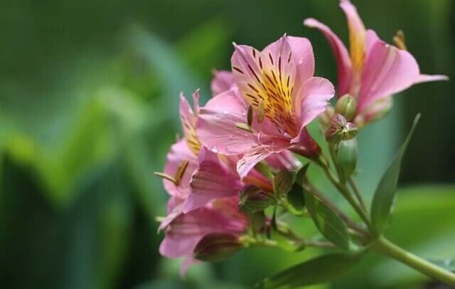 2/18のお礼♡｜写メ日記｜永井｜鶯谷 人妻デリヘル あなたに逢いたくて