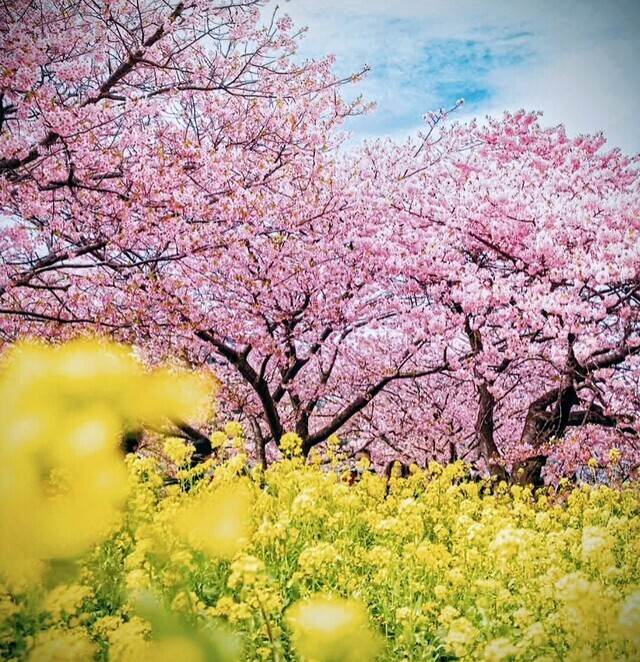 ありがとう♡｜写メ日記｜永井｜鶯谷 人妻デリヘル あなたに逢いたくて