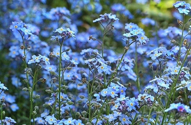 昨日のお礼♡｜写メ日記｜永井｜鶯谷 人妻デリヘル あなたに逢いたくて