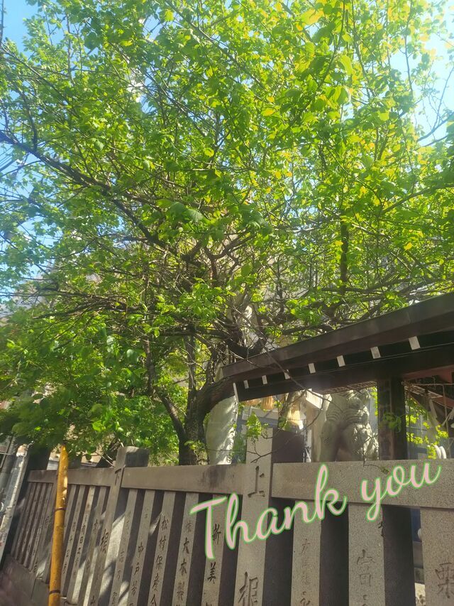 ありがとう✨️｜写メ日記｜永井｜鶯谷 人妻デリヘル あなたに逢いたくて