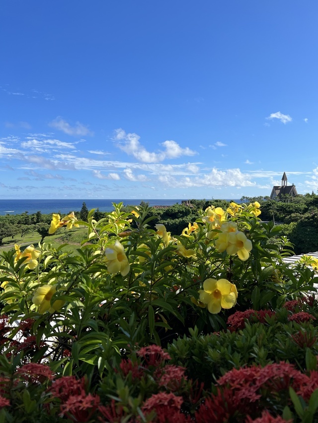 🐝お礼🌼｜写メ日記｜新木｜鶯谷 人妻デリヘル あなたに逢いたくて
