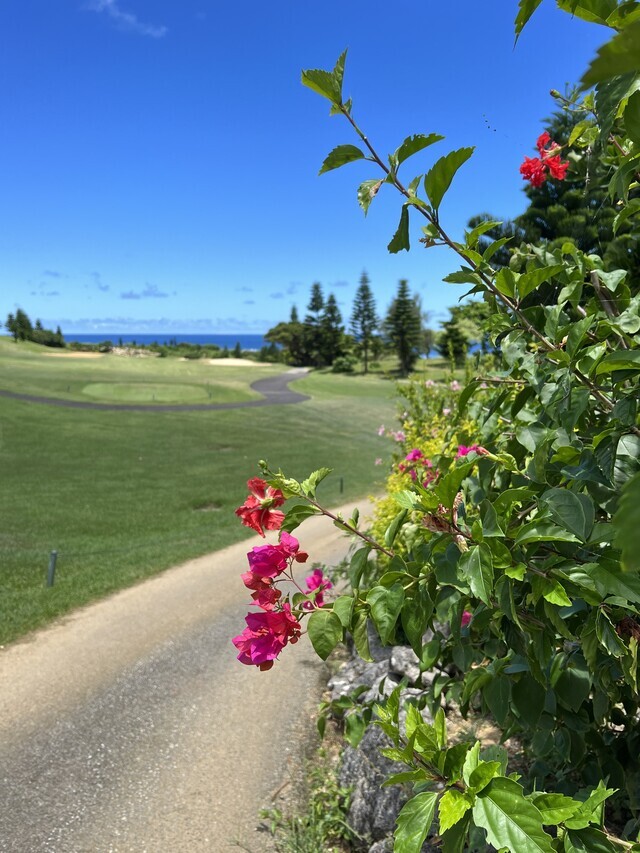 お礼  番外編｜写メ日記｜新木｜鶯谷 人妻デリヘル あなたに逢いたくて