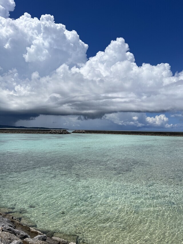 お礼｜写メ日記｜新木｜鶯谷 人妻デリヘル あなたに逢いたくて