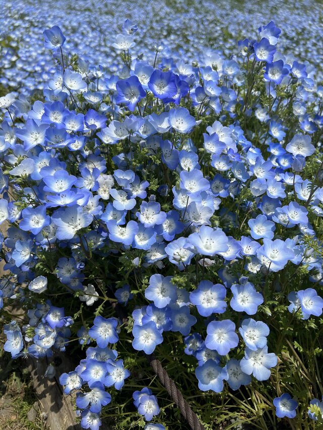 昨日のお礼です♡｜写メ日記｜今井｜鶯谷 人妻デリヘル あなたに逢いたくて