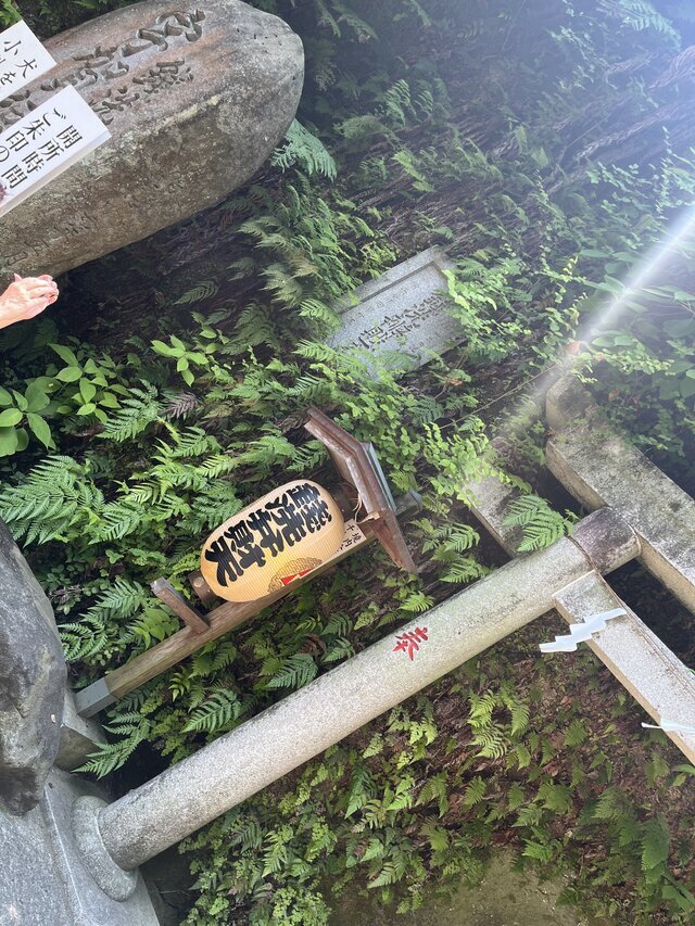 出勤｜写メ日記｜有村｜鶯谷 人妻デリヘル あなたに逢いたくて