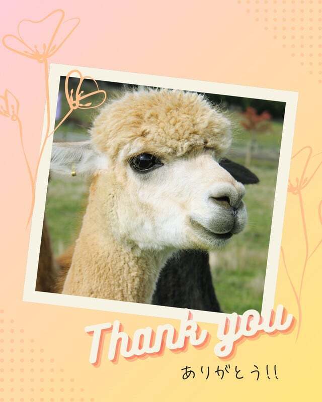 🎀お礼メール🎀　　ピードアゴールド　u様。｜写メ日記｜福永｜鶯谷 人妻デリヘル あなたに逢いたくて