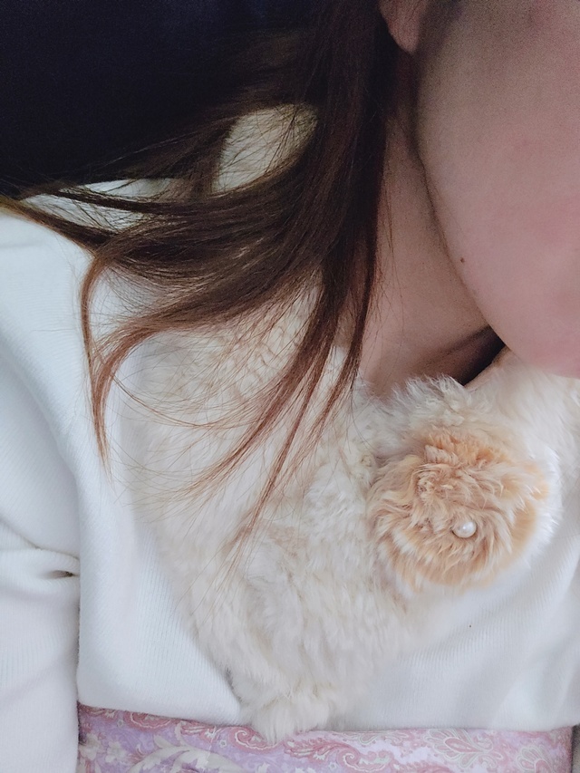 出勤しました⭐｜写メ日記｜福永｜鶯谷 人妻デリヘル あなたに逢いたくて