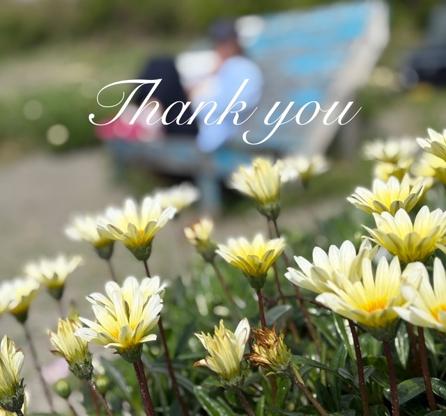 ありがとう🩵｜写メ日記｜姫川｜鶯谷 人妻デリヘル あなたに逢いたくて