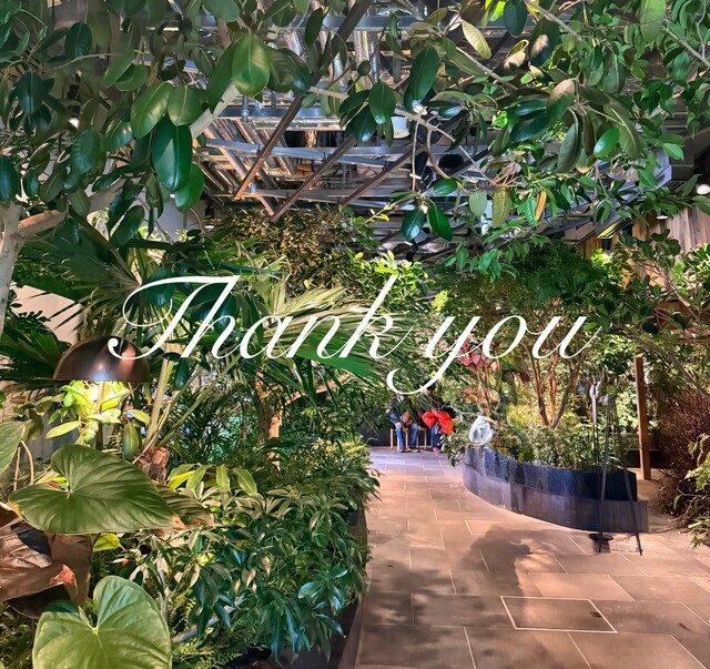 ありがとう🤎｜写メ日記｜姫川｜鶯谷 人妻デリヘル あなたに逢いたくて