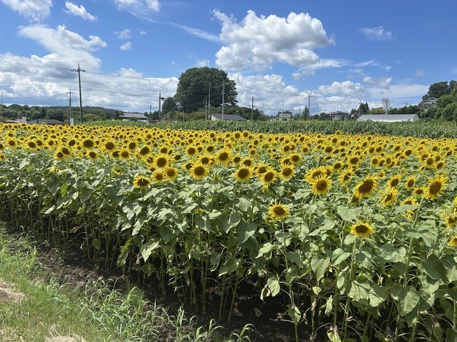 ありがとう😊