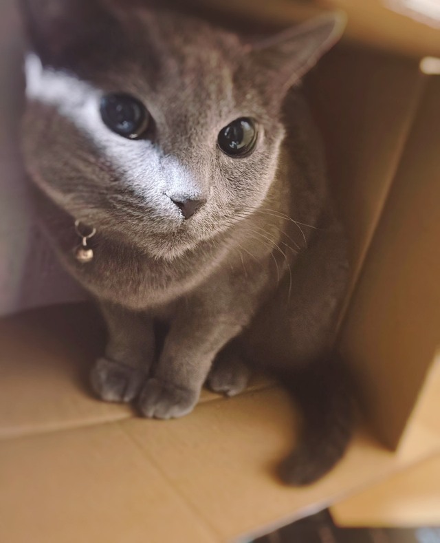 こんばんわ｜写メ日記｜松雪｜鶯谷 人妻デリヘル あなたに逢いたくて