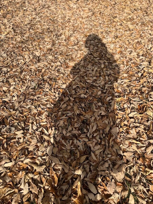 今日も心穏やかに