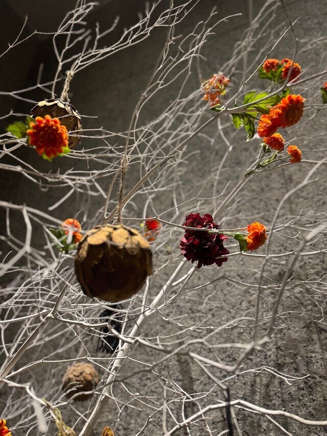 気づけば明日から12月！