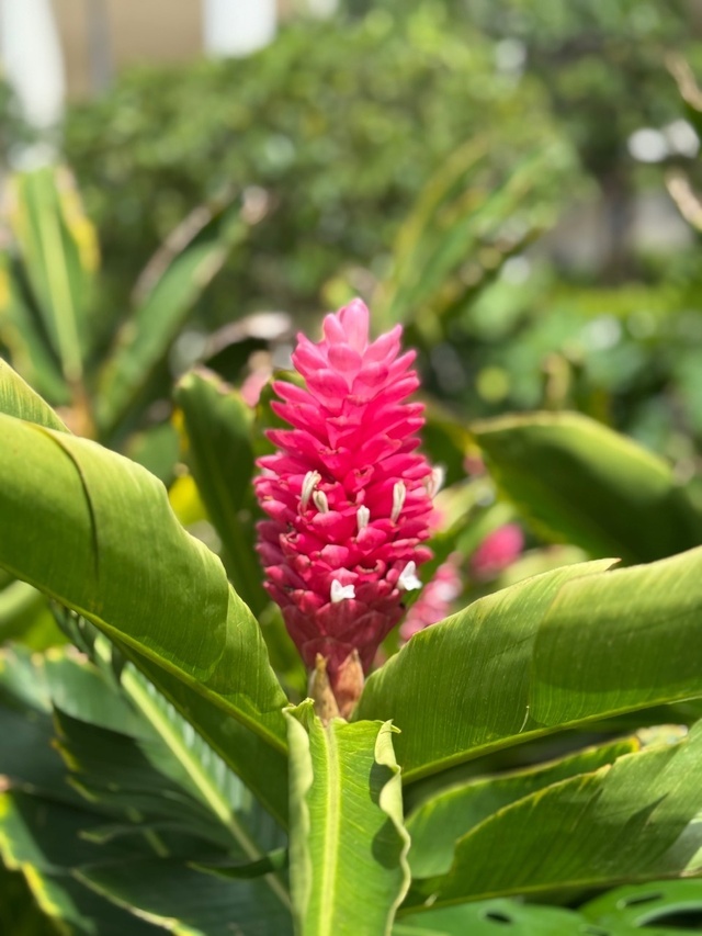 やわらかな昼下がり