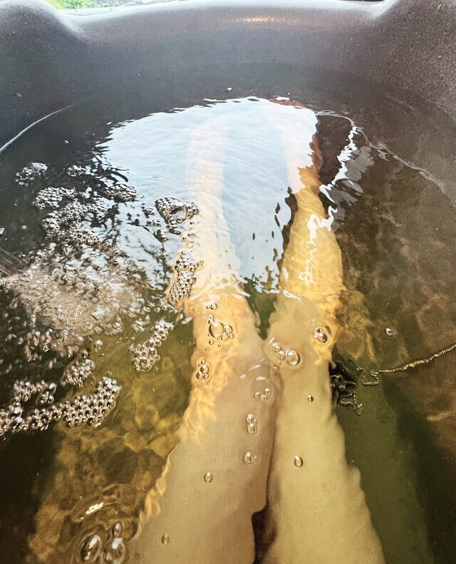 やわらかな土曜のはじまり