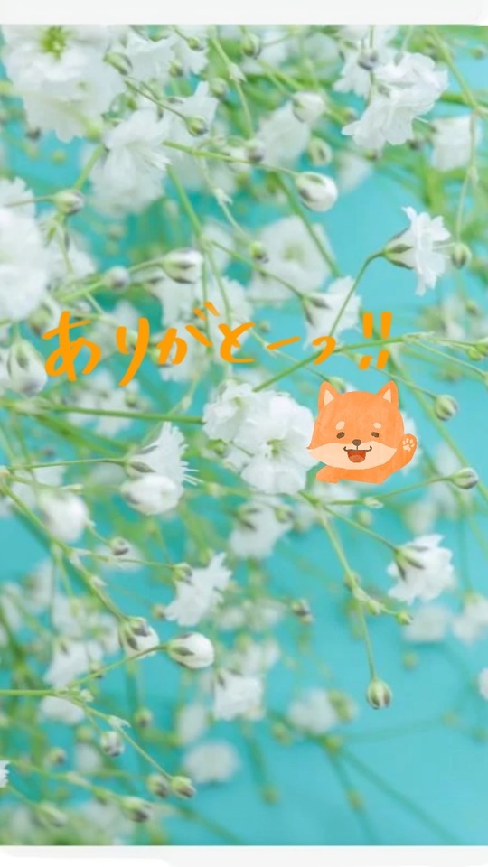 お礼✨｜写メ日記｜榎本｜鶯谷 人妻デリヘル あなたに逢いたくて