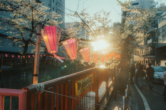 明日、久しぶりに会えます💐｜写メ日記｜山下｜鶯谷 人妻デリヘル あなたに逢いたくて