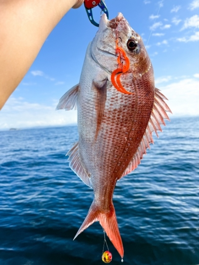 ありがとうK様🐟️✨｜写メ日記｜上戸｜鶯谷 人妻デリヘル あなたに逢いたくて