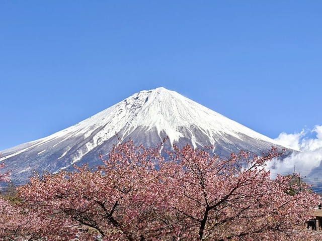 ありがとうA様🌸｜写メ日記｜上戸｜鶯谷 人妻デリヘル あなたに逢いたくて