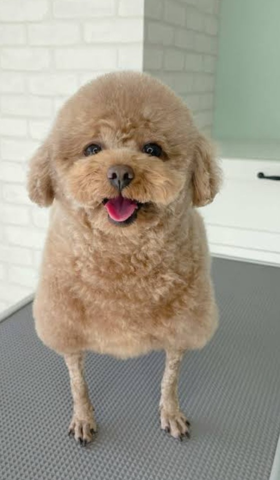 ⊂(  ᴖ ̫ᴖ)⊃｜写メ日記｜平山｜鶯谷 人妻デリヘル あなたに逢いたくて