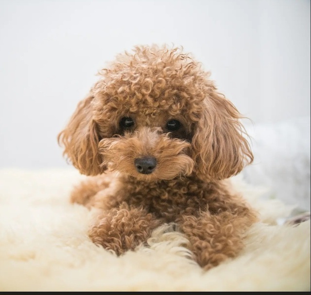 𝕋𝕙𝕒𝕟𝕜 𝕪𝕠𝕦 ❤︎