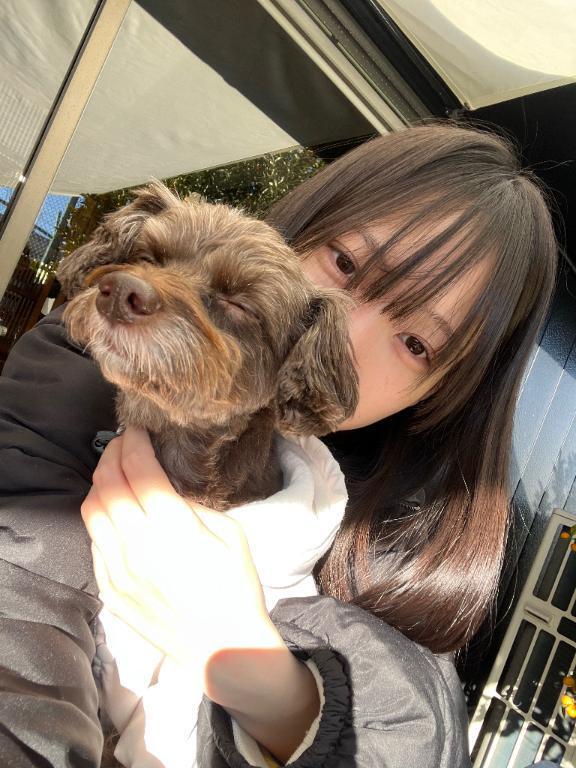 愛犬の様子が🥲｜写メ日記｜にゃん【あ〇ちゃん激似SS級】｜池袋 一般デリヘル STELLA TOKYO−ステラトウキョウ−