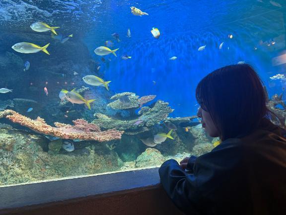 水族館いったよ🐬｜写メ日記｜ゆい【完璧の2文字】｜池袋 一般デリヘル STELLA TOKYO−ステラトウキョウ−