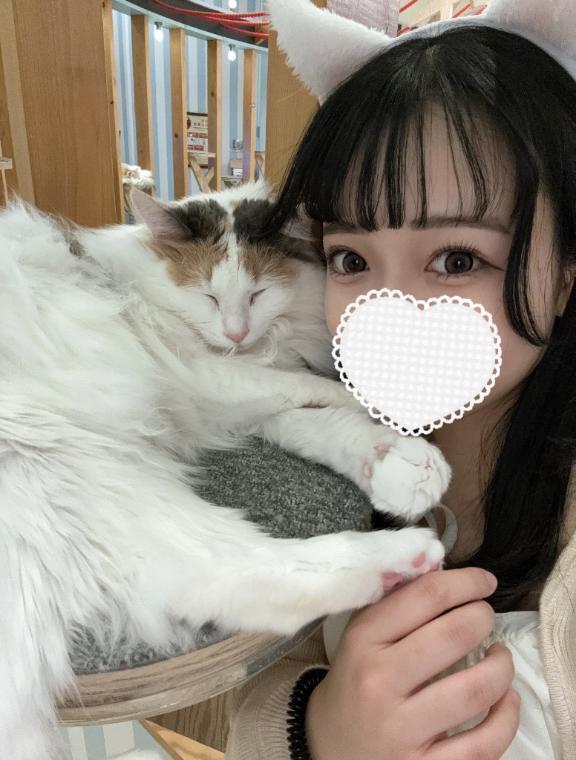 います(* ॑꒳ ॑* )｜写メ日記｜いちご【ミニマム激カワ美少女】｜池袋 一般デリヘル STELLA TOKYO−ステラトウキョウ−