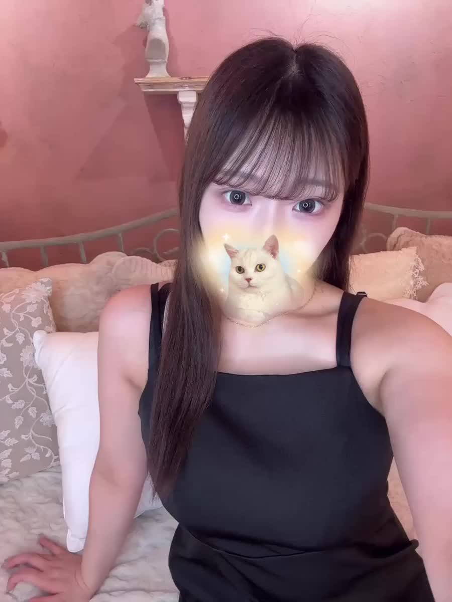 猫さんスタンプ🐱