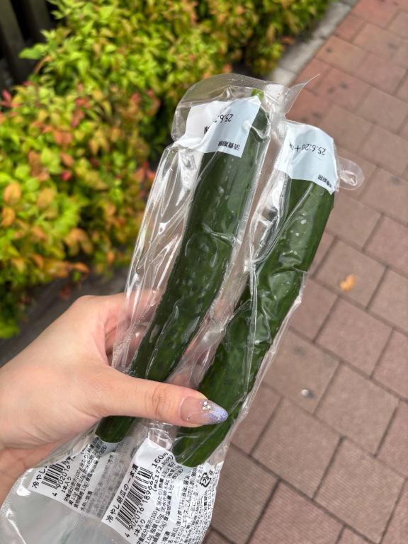 1番好きな野菜🥒｜写メ日記｜みこと【極上のおっぱい美少女】｜池袋 一般デリヘル STELLA TOKYO−ステラトウキョウ−