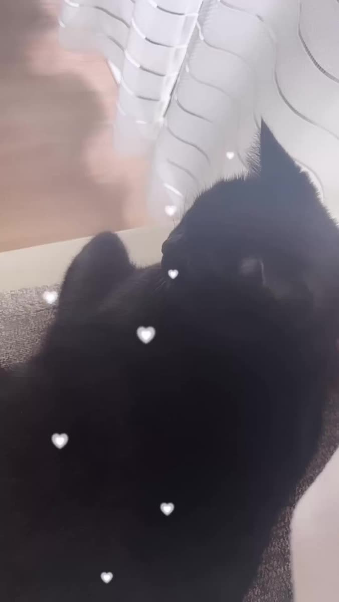 本日19-4出勤🐈‍⬛✩｜写メ日記｜ひなの【濡れまくり最年少】｜池袋 一般デリヘル STELLA TOKYO−ステラトウキョウ−