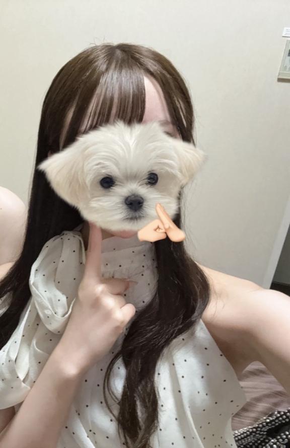 ♡おはよう♡｜写メ日記｜らら【ドМなはんなり美女】｜池袋 一般デリヘル STELLA TOKYO−ステラトウキョウ−