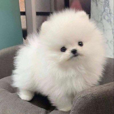 17:00〜本指名様💌