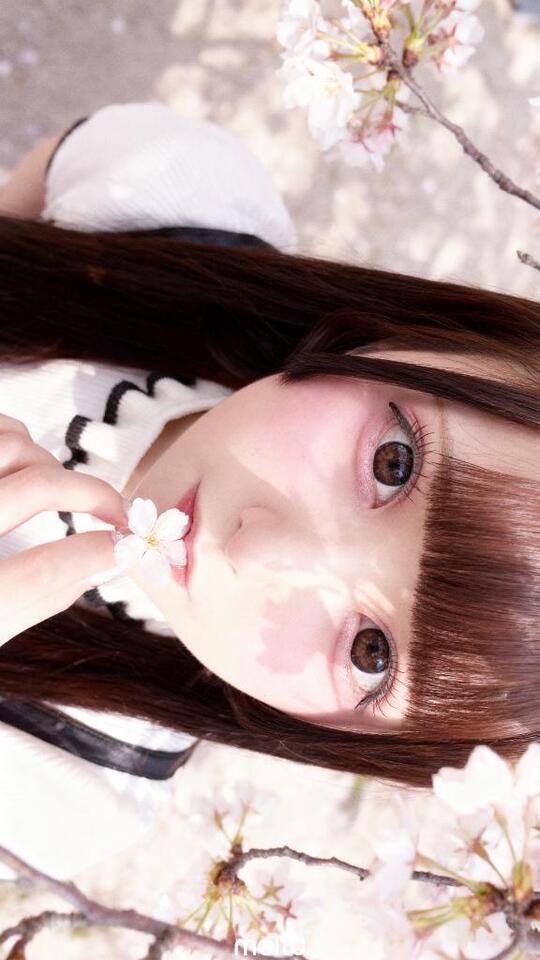 しふと｜写メ日記｜ここあ【ロリ×F乳＝最強】｜池袋 一般デリヘル STELLA TOKYO−ステラトウキョウ−