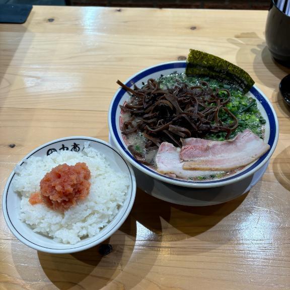 念願の｜写メ日記｜えれな【ステラ級圧倒的美貌】｜池袋 一般デリヘル STELLA TOKYO−ステラトウキョウ−