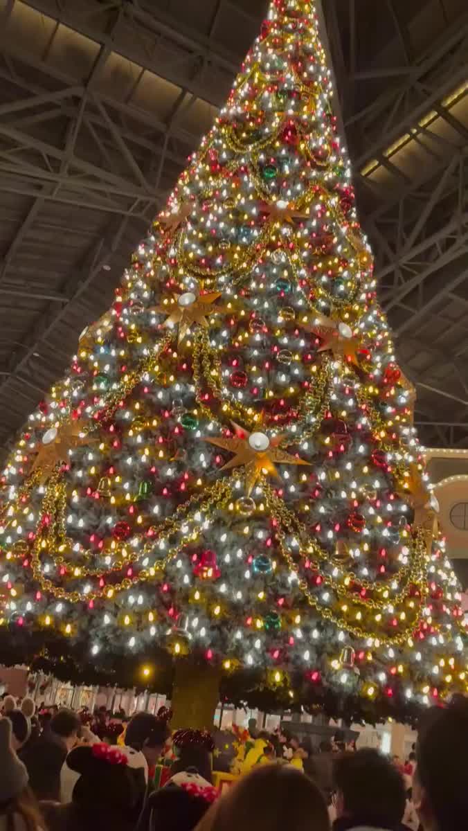 🪽「去年の思い出｣｜写メ日記｜りおね【スレンダー黒髪美人】｜池袋 一般デリヘル STELLA TOKYO−ステラトウキョウ−