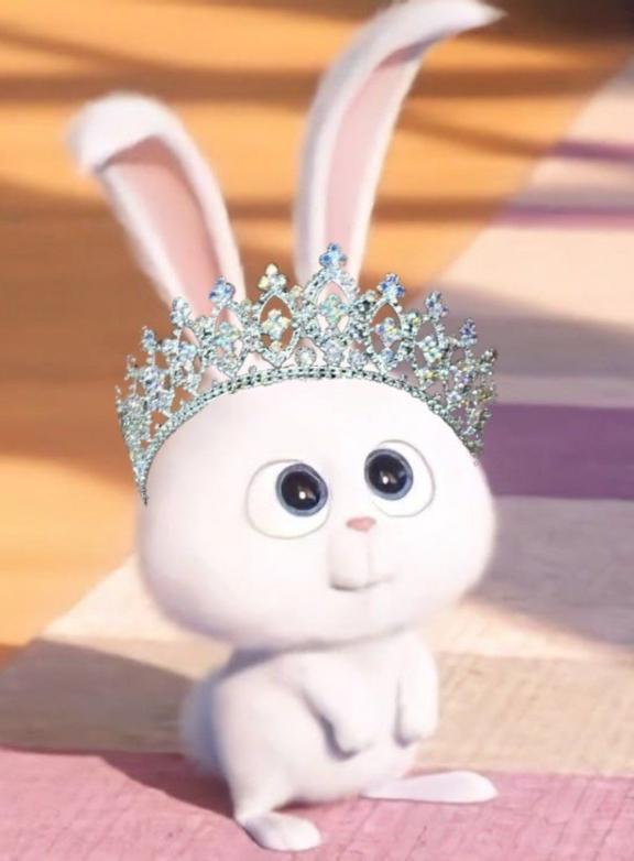 本日20時🎥♥️