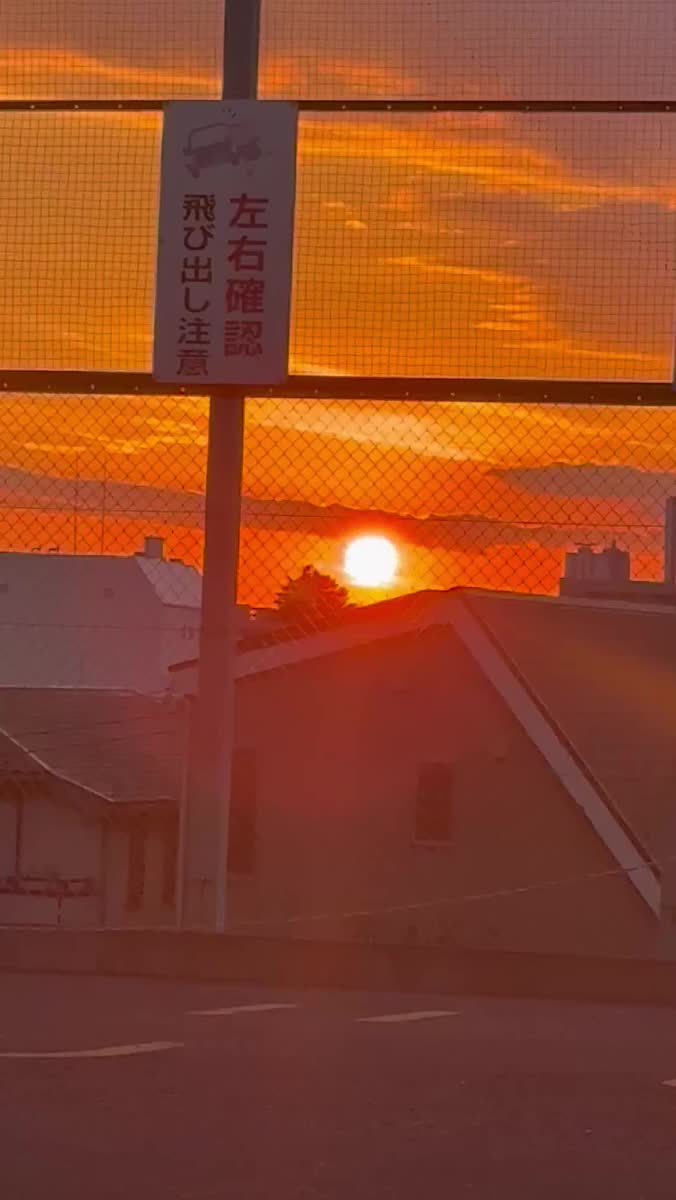 初ひので♡｜写メ日記｜あず【高学歴清楚大学生】｜池袋 一般デリヘル STELLA TOKYO−ステラトウキョウ−