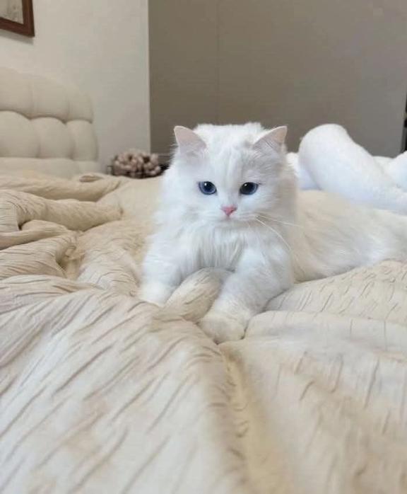 つぎ28日います！