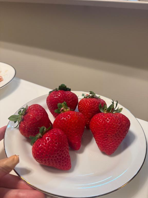 だいすきな｜写メ日記｜あず【高学歴清楚大学生】｜池袋 一般デリヘル STELLA TOKYO−ステラトウキョウ−