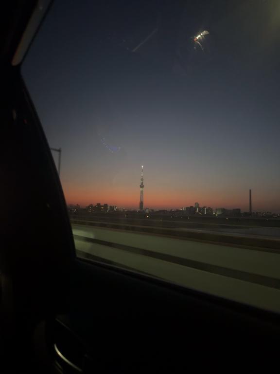 きれい❣️｜写メ日記｜あず【高学歴清楚大学生】｜池袋 一般デリヘル STELLA TOKYO−ステラトウキョウ−